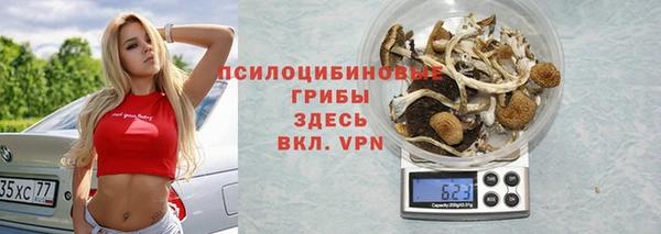 таблы Дмитровск