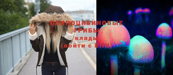 mdpv Дмитриев