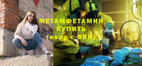 индика Дмитров