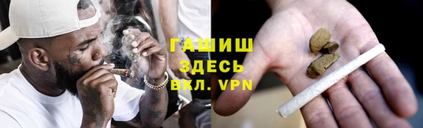 индика Дмитров