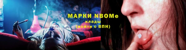 индика Дмитров