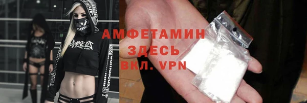 шишки Сосновка