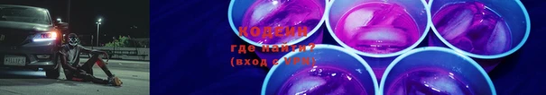 индика Дмитров
