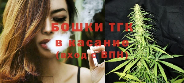 индика Дмитров