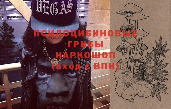 шишки Сосновка