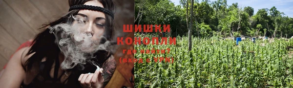 индика Дмитров
