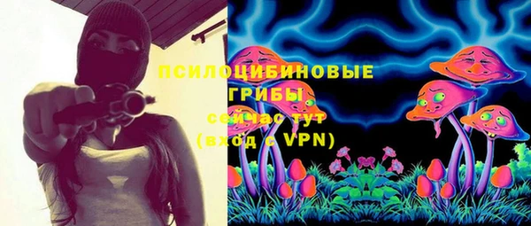 таблы Дмитровск