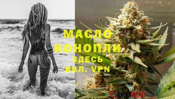 индика Дмитров