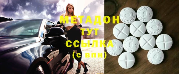 индика Дмитров