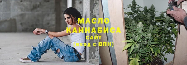 индика Дмитров