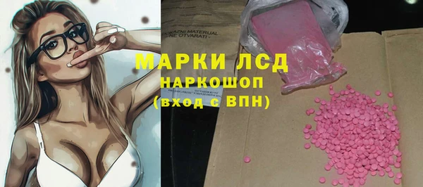 индика Дмитров