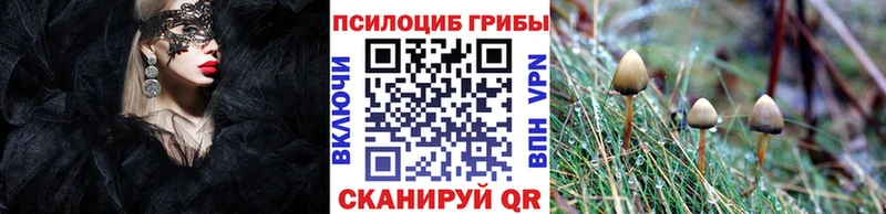 Купить Отрадный Галлюциногенные грибы ЛСД